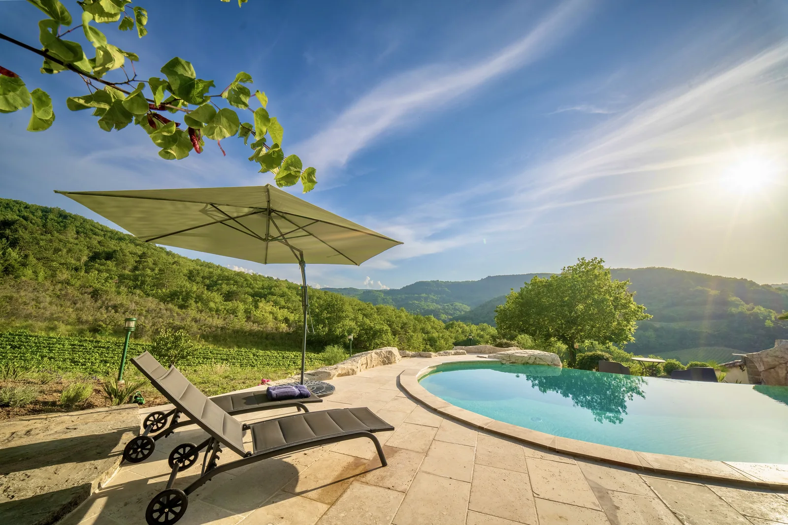 The pool and vineyards in the evening light